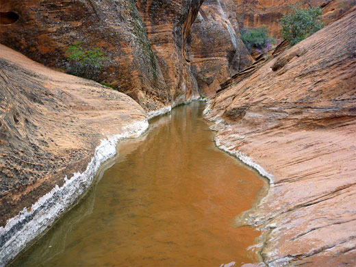 Straight channel along Quail Creek