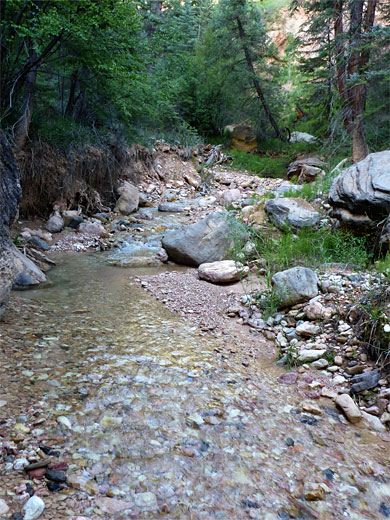 Rattlesnake Creek, in the Ashdown Gorge Wilderness