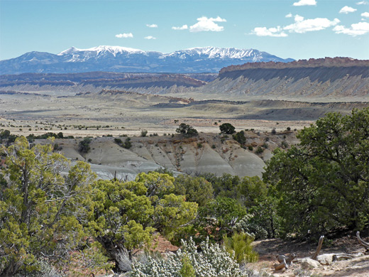 Edge of Tarantula Mesa