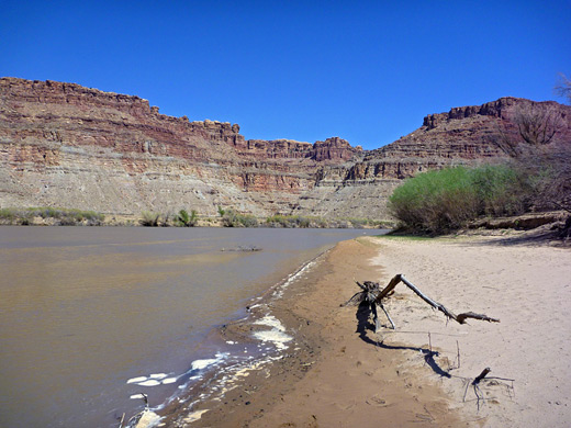 andy beach along the Colorado River