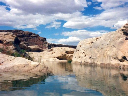 Calm water in a tributry channel of Warm Creek Bay