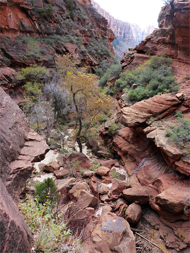 The view downcanyon, from Barrier Falls