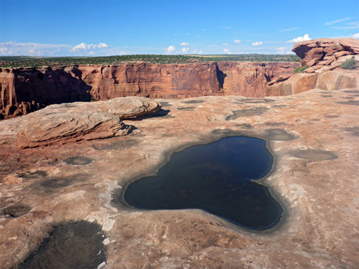 Pothole at the edge of the plateau, near Rim Overlook