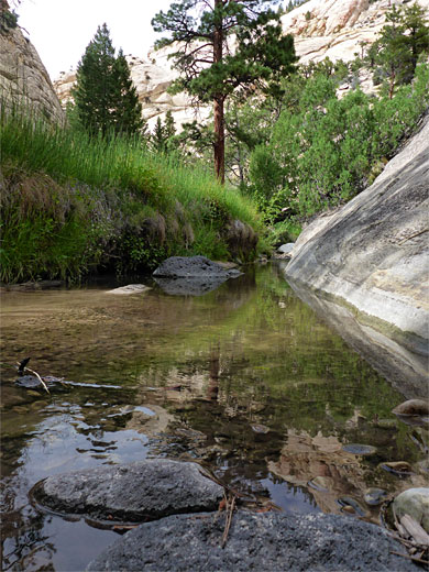 Pool and boulders