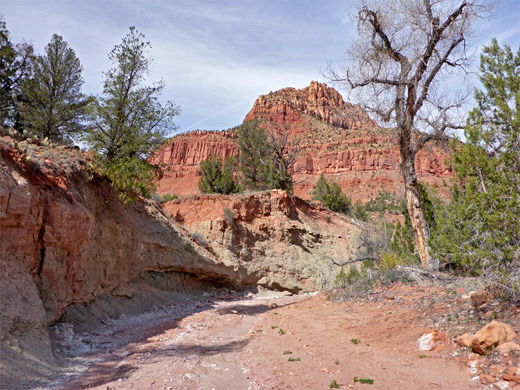 Dry streambed of Scroggins Wash