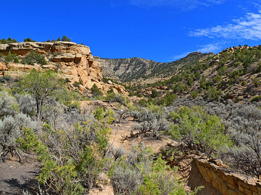 Blue sky above Sego Canyon