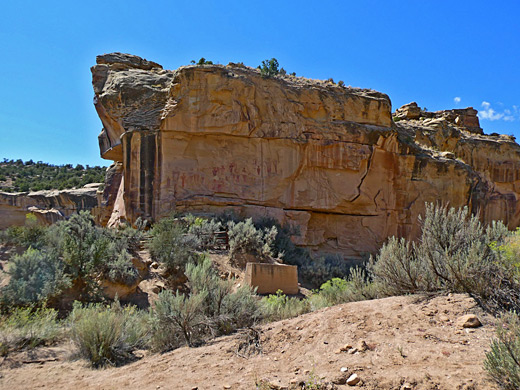 Rock art panel