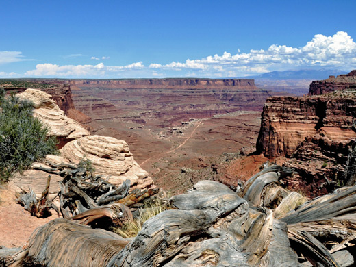 Rim above Shafer Canyon