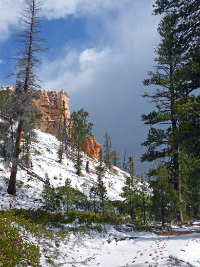 Snowy hillside