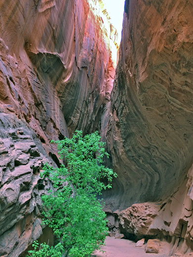 Singing Canyon