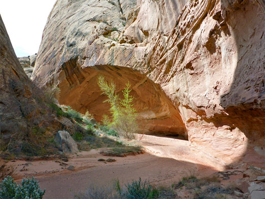 Alcove opposite a bend in the canyon