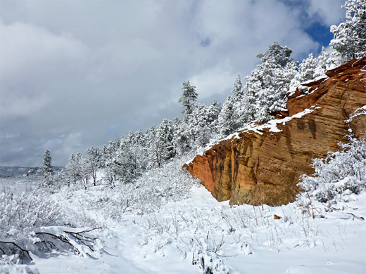 Cliff near Stave Spring