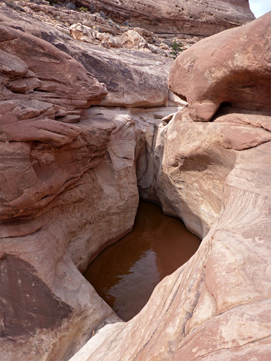 Enclosed pool