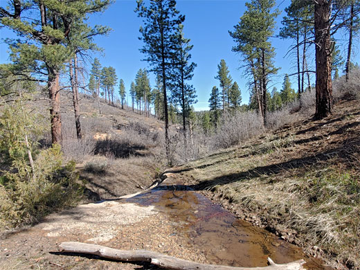 Stream near Stave Spring