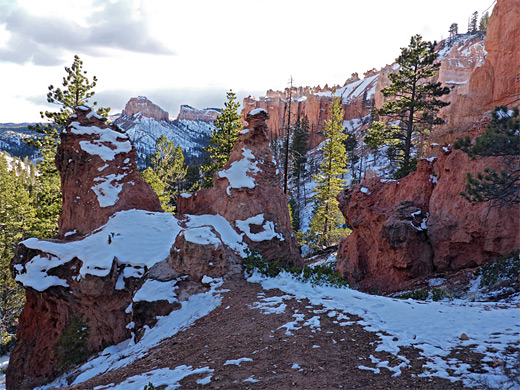 Red rocks at the upper end of Swamp Canyon