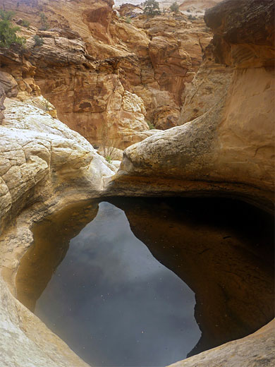 Pothole in Capitol Gorge