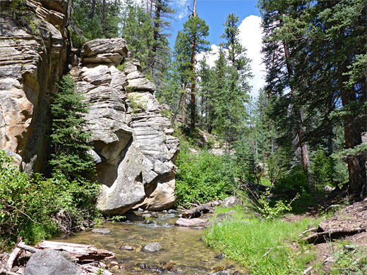 Pine Creek valley