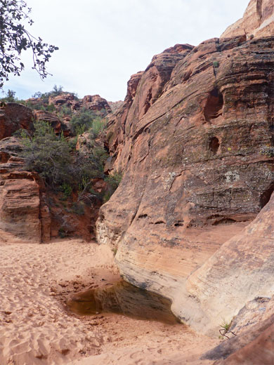 Pool and cliff