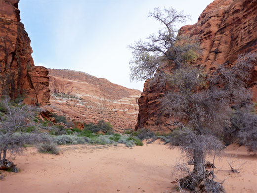 Wide, sandy wash