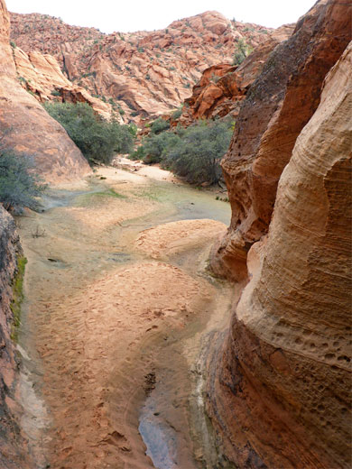 Above a dryfall, upstream of the pools 
