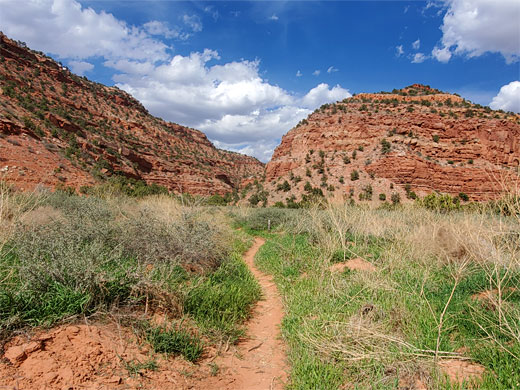 Sandy path