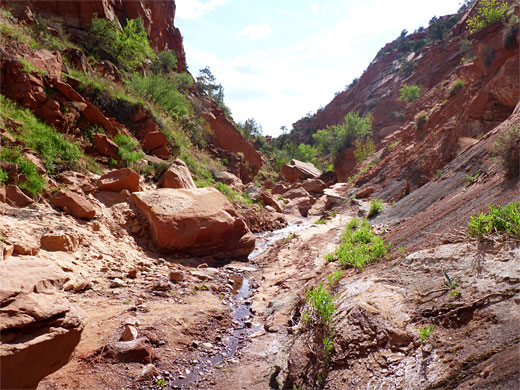 Small stream
