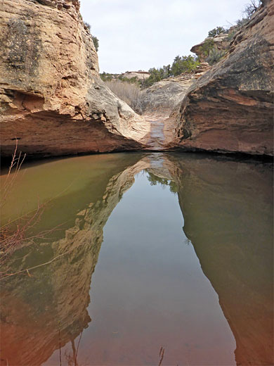 Reflections on a deep pool