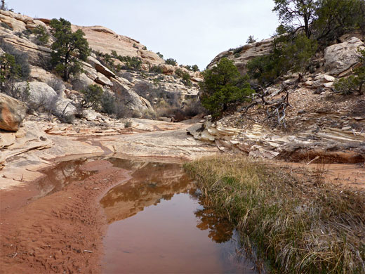 Pool at the junction with a minor tributary