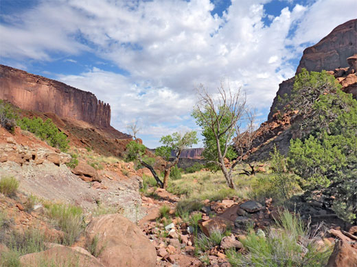 Canyonlands National Park