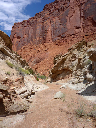 Red and white rocks along the Syncline Loop