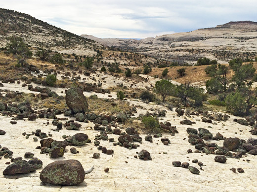 Dark boulders on light slickrock