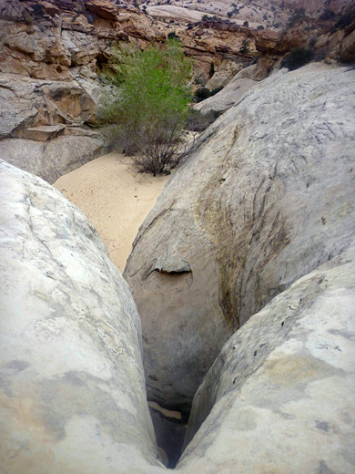 Waterpocket Canyon