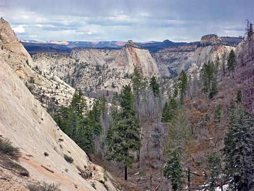 Mountains to the north