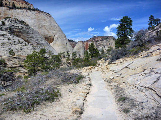 Zion National Park