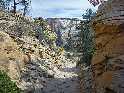 Crumbling sandstone along the West Rim Trail