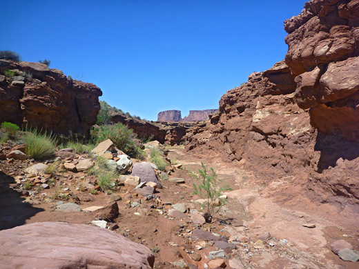 Wilhite Trail through a shallow ravine