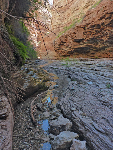 Stream and spring