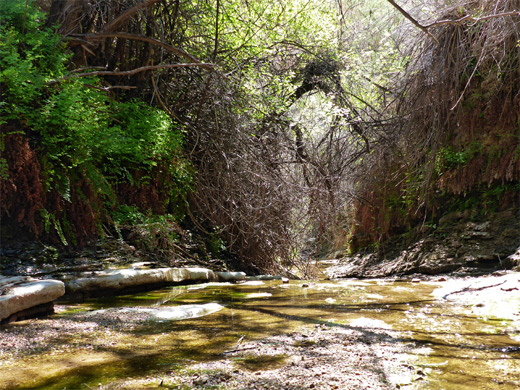 Shallow stream