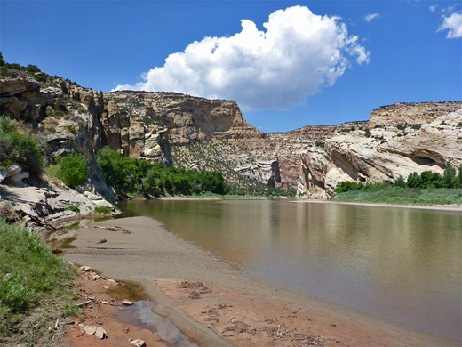 Yampa River shoreline