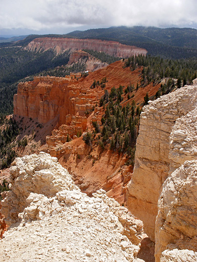 The Pink Cliffs