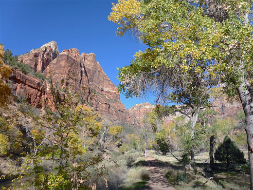 Trail alongside the Virgin River