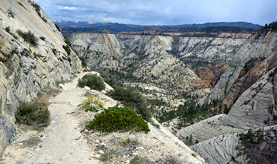 Photographs of Zion Canyon