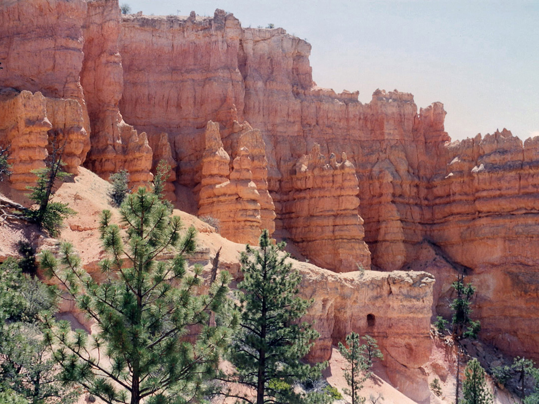 Hoodoos in Fairyland Canyon