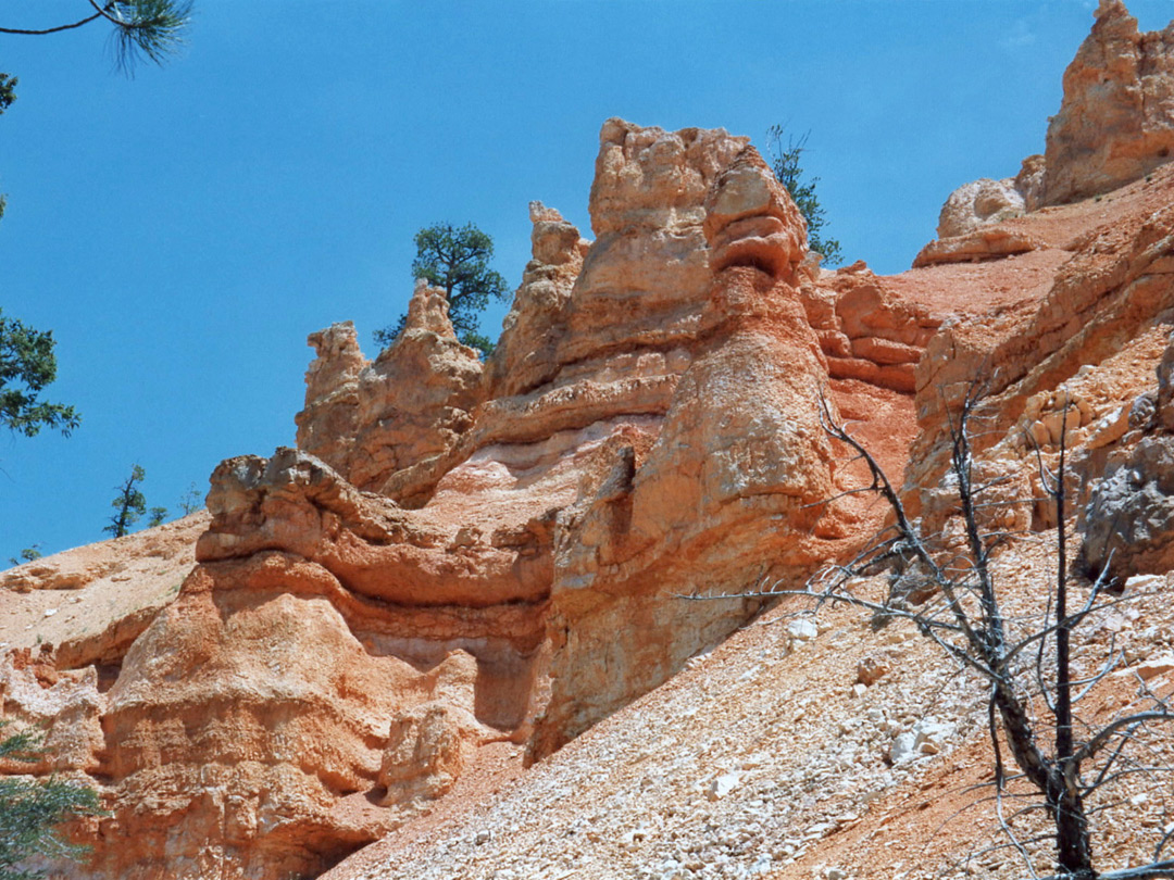 Cliffs above the Fairyland Loop Trail