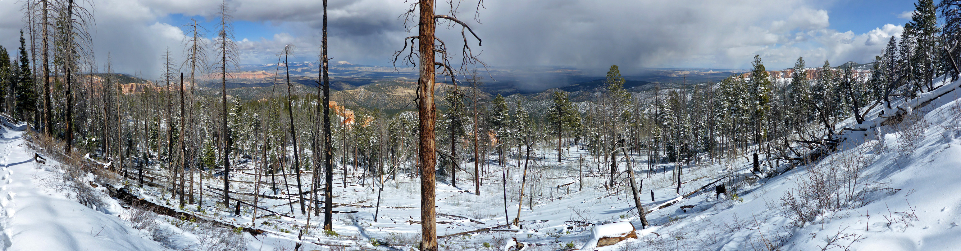 Snow in Agua Canyon