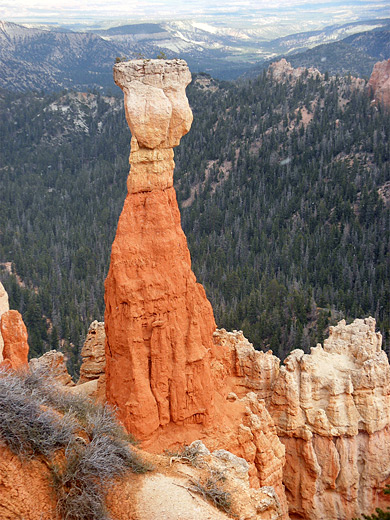 Pinnacle above Agua Canyon