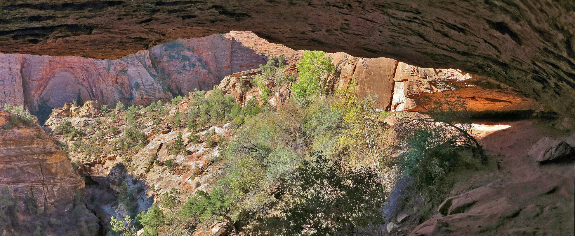 Alcove along the trail