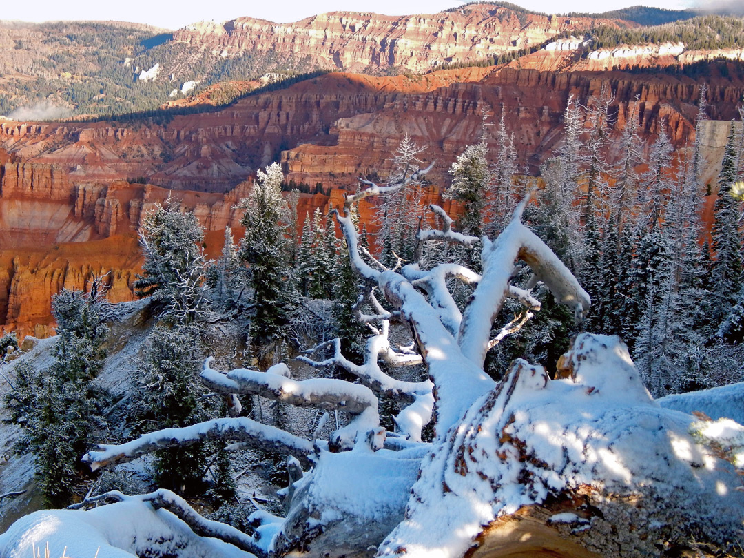 Overlook near Alpine Pond