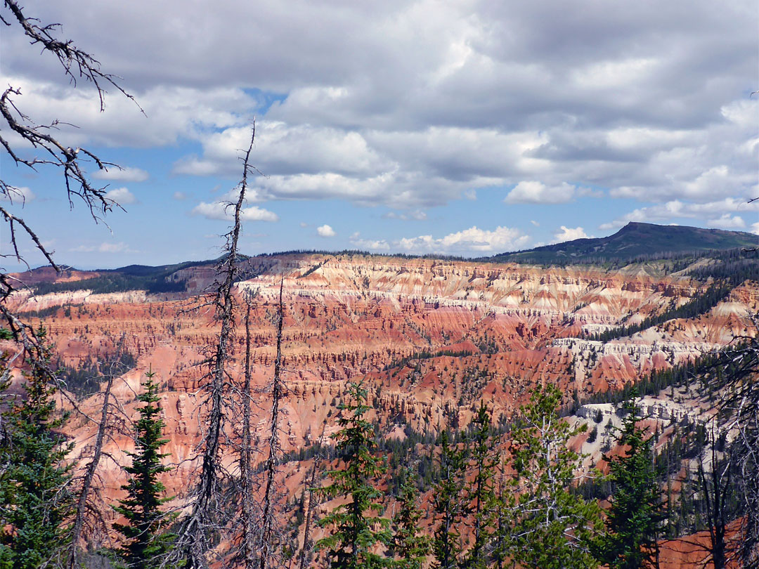 Red rock formations