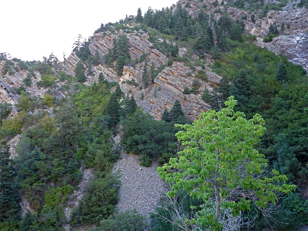 Inclined strata